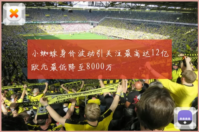 小蜘蛛身价波动引关注最高达12亿欧元最低降至8000万
