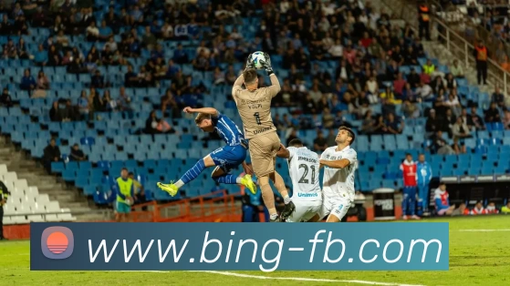 FB体育平台生态图